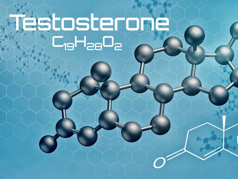 Тестостерон – что это и как он влияет на здоровье мужчин? 