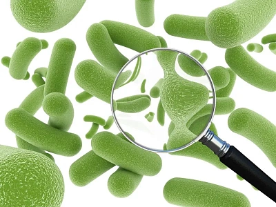 Механизм действия пробиотиков – свойства и источники полезных бактерий