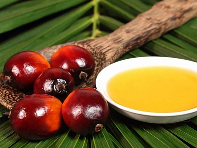 Польза пальмового масла – преимущества и применение натурального сырья 